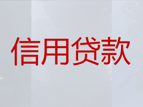 宣威市本地贷款公司